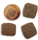 Canagan Lamb Grain Free Dry Dog Food - Canagan5029040011734