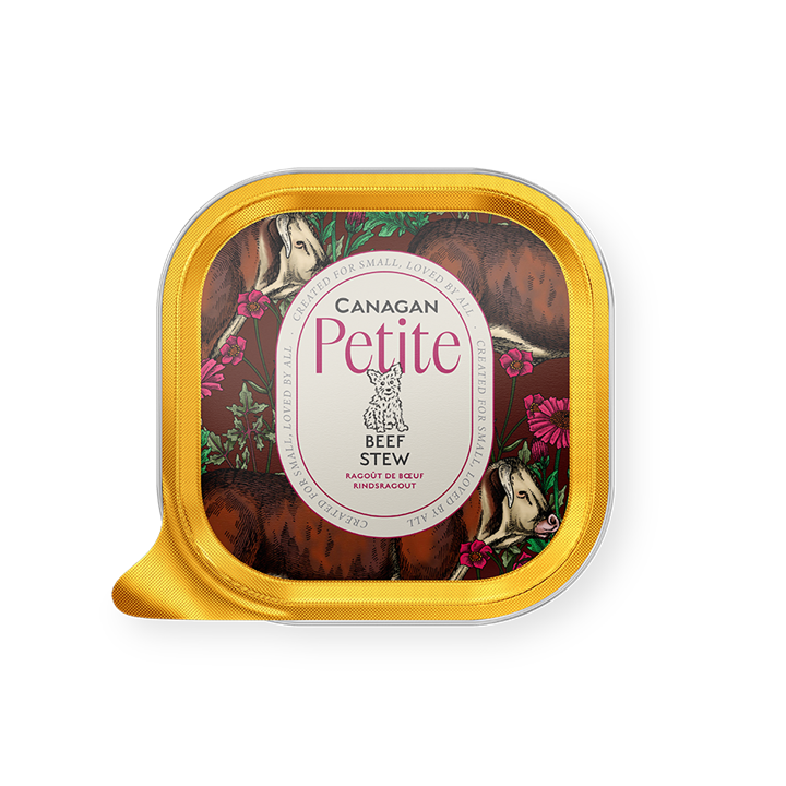Canagan Petite Beef Stew Pate for Small Dogs in recyclable packaging with colorful design.