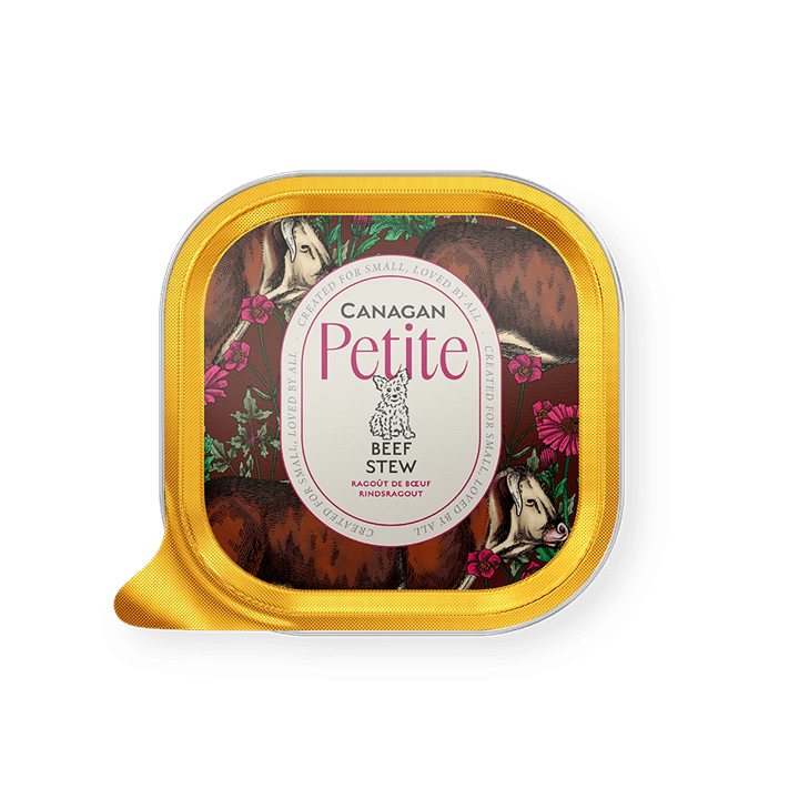Canagan Petite Beef Stew Pate for Small Dogs - Canagan5029040009090