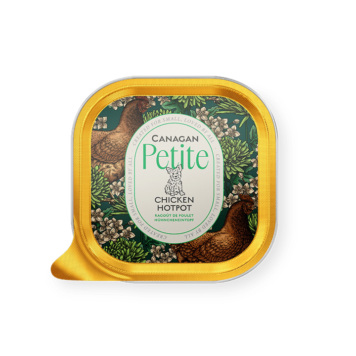 Canagan Petite Chicken Hotpot Pate wet dog food for small dogs with free-run chicken and organic vegetables