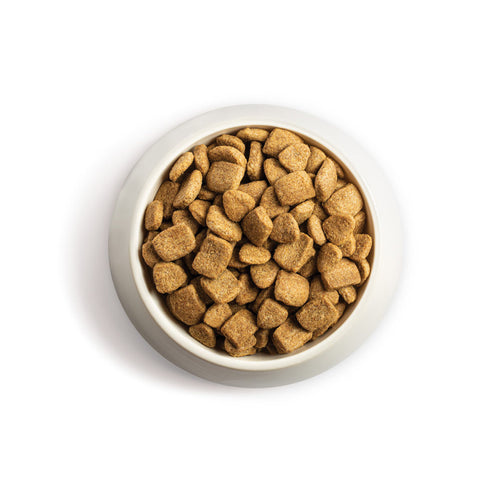 Chappie Chicken Dry Dog Food in bowl
