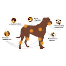 Chewllagen Chewable Collagen Beef Donut - Chewllagen742174711022