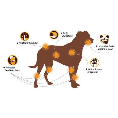 Chewllagen Chewable Collagen Beef Donut - Chewllagen742174711022