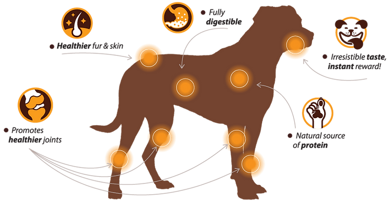 Chewllagen Chicken Roll 10" Dog Treat - Chewllagen742174712012