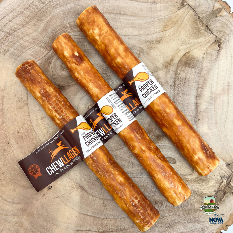 Chewllagen chewable collagen dog treats with chicken on a wooden surface.