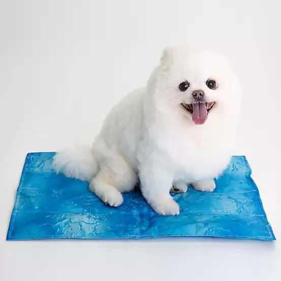 Coco Jojo Pet Cooling Mat (Small) - Coco Jojo4895191900828