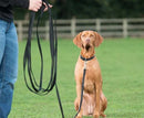 Company of Animals Recall Training Long Line Dog Lead held by person with sitting dog on green field