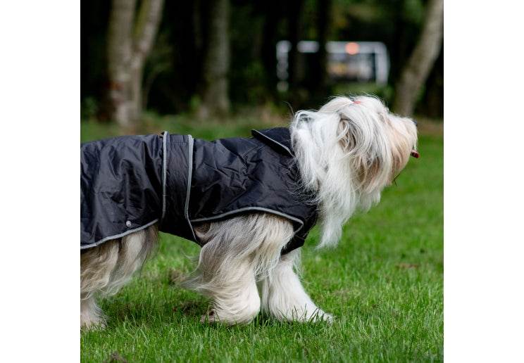 Ancol Stormguard Black Waterproof Dog Coat on a long-haired dog, showcasing outdoor durability and reflective safety features.