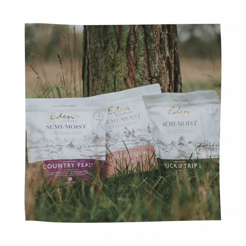 Eden Semi - Moist Salmon and Quail Dog Food - Eden Pet Foods5060438811697