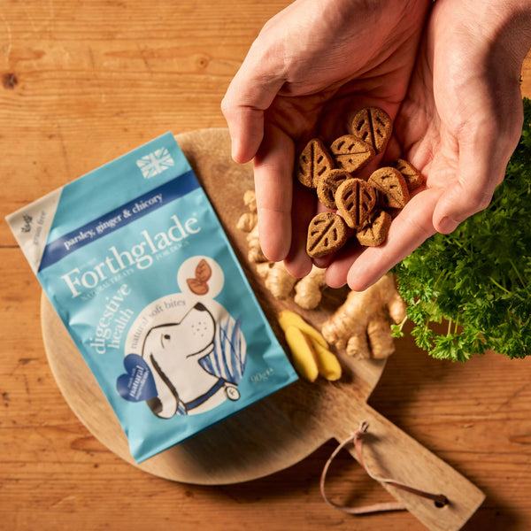 Forthglade Digestive Health Soft Bites: Grain - Free Treats for Dogs 90g - Forthglade5023833007409