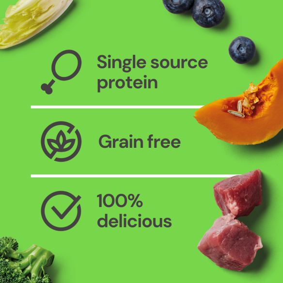 Gently steamed lamb dog food with single source protein, grain-free, and 100% delicious ingredients including pumpkin, blueberry, and lean lamb pieces.