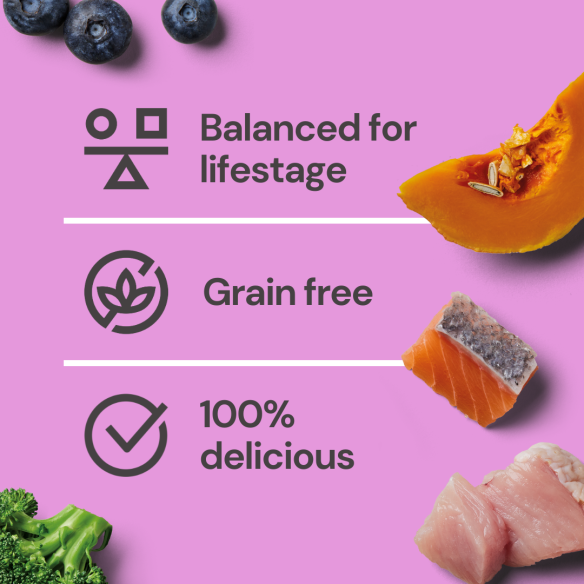 Balanced, grain-free, 100% delicious senior dog food with salmon and turkey.