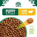 James Wellbeloved Puppy Lamb & Rice Dry Dog Food 2kg - James Wellbeloved5025838041136