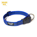 Julius K9 Colour & Gray® Comfort Dog Collars - Julius K95999053660260