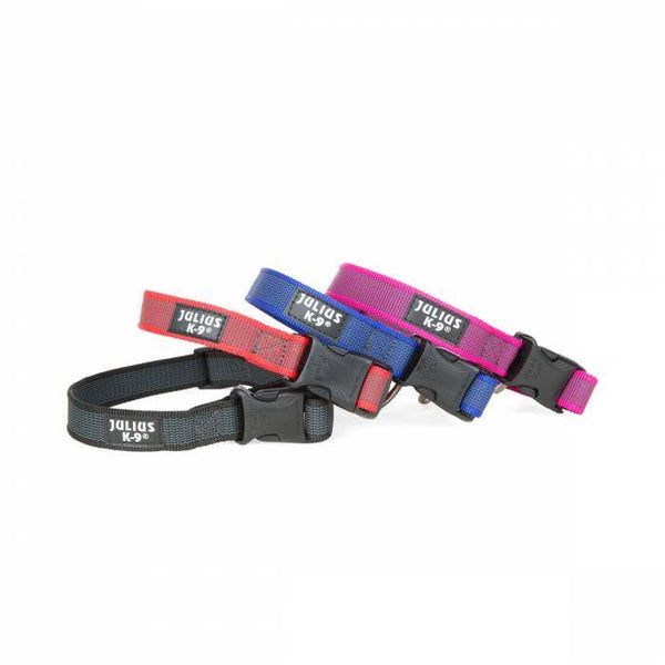 Julius K9 Colour & Gray® Comfort Dog Collars - Julius K95999053660260