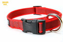 Julius K9 Colour & Gray® Comfort Dog Collars - Julius K95999053661649