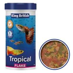 King British Tropical Fish Flakes 55g container with colorful flakes for fish nutrition and immunity.
