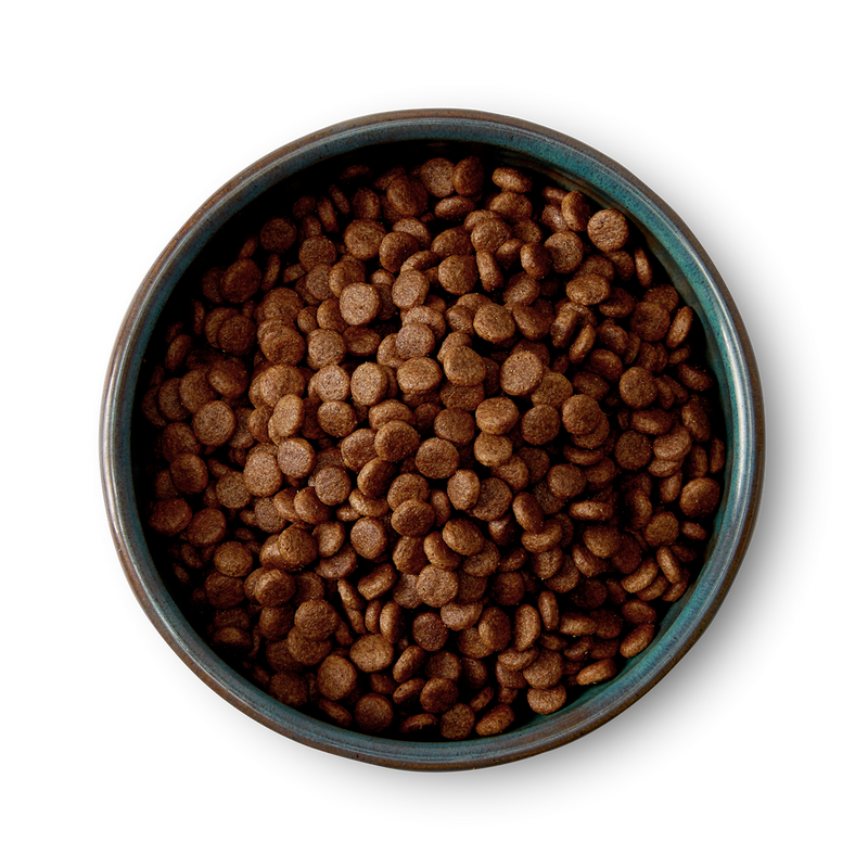 McAdams Small Breed: Free Range Turkey Dry Dog Food