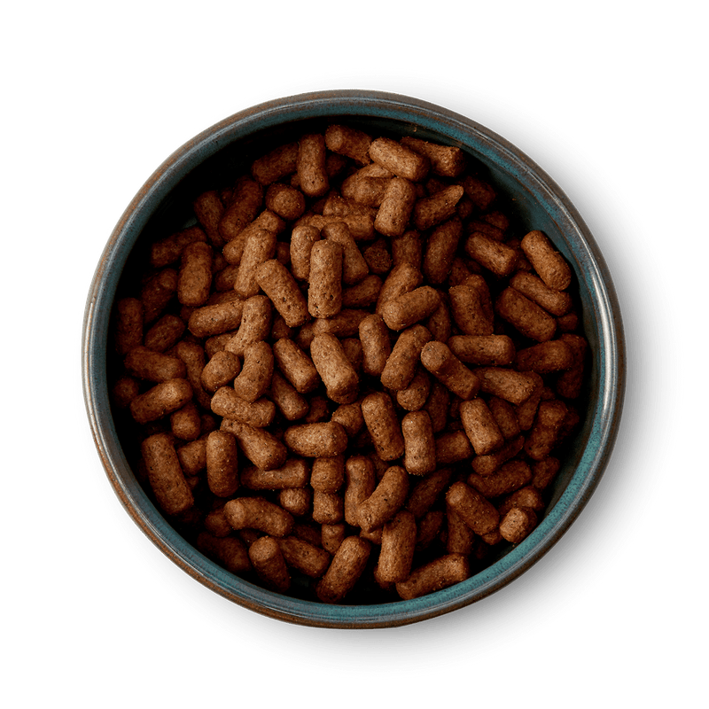 McAdams Medium/Large Breed: Free Range Turkey Dry Dog Food - McAdams5060434480026