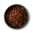 Small breed dog food with free-range turkey dry kibble in a bowl