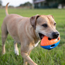 Nerf Dog 6" TPR Bash Football – Interactive Fetch & Chew Toy with Crunchy and Squeak Sound - Nerf Dog20810009471905