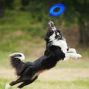 Border collie dog jumping to catch blue Nerf Dog Tyre Flyer frisbee in outdoor grassy area