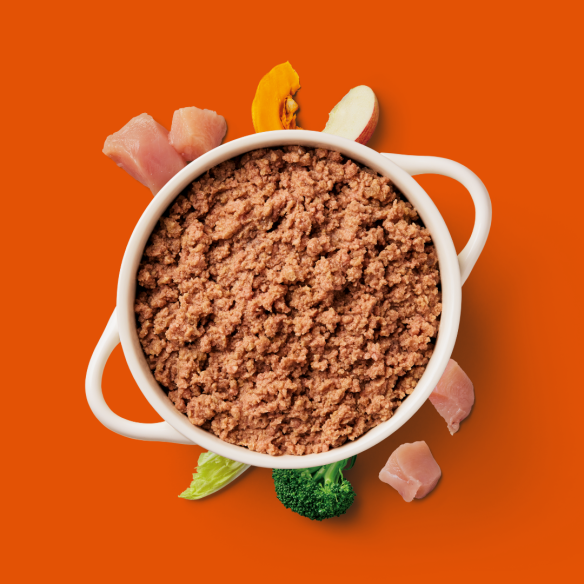 Gently steamed chicken dog food in a white bowl with fresh ingredients on an orange background.