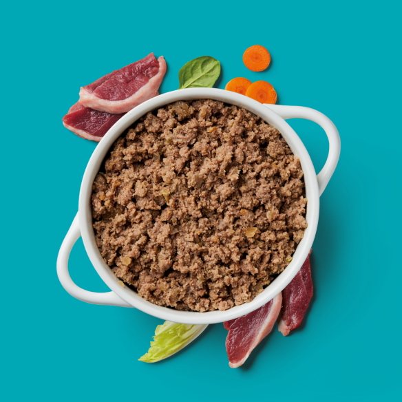 Gently Steamed Duck 395g dog food in a white bowl with fresh duck, spinach, and carrot on a blue background.
