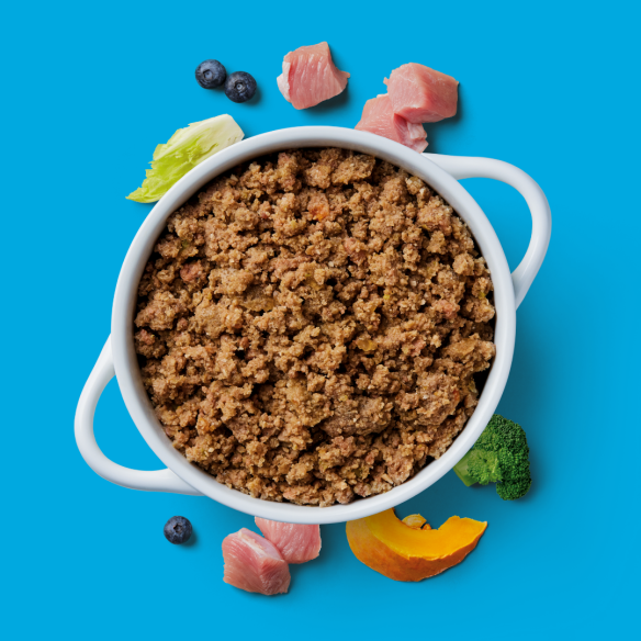Gently steamed turkey puppy food in a bowl with natural ingredients like turkey, beef, broccoli, pumpkin, and blueberries.