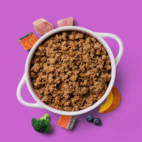 Gently steamed senior salmon and turkey dog food with natural ingredients.