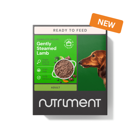 Nutriment Gently Steamed Lamb Dog Food (395g) - Nutriment5060359982582