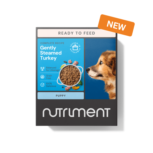 Nutriment Gently Steamed Puppy Turkey Puppy 395g - Nutriment5060359982599