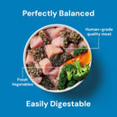 Nutriment Light Support 500g Raw Dog Food - Nutriment5060359980809