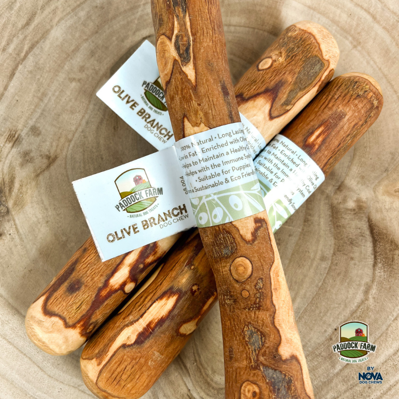 Nova Origins Olive Branch Chew - 100% natural dog chew from olive tree branches, sustainable, enriched with Virgin Olive oil, suitable for all dogs.
