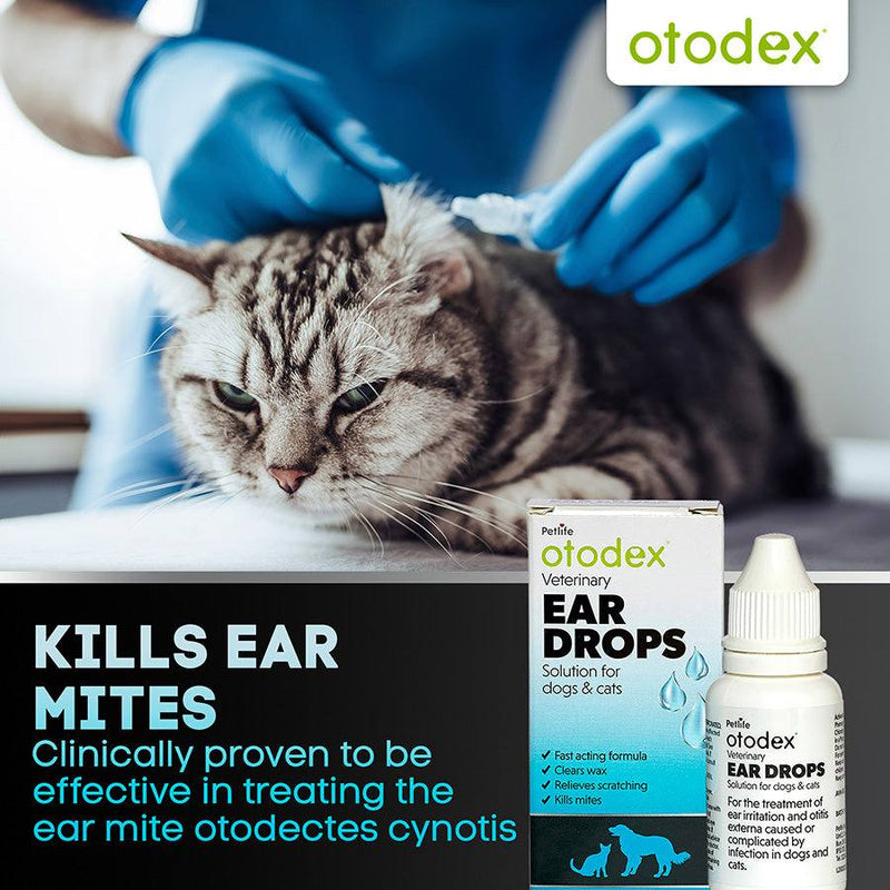 Otodex Veterinary Ear Drops for dogs and cats effective against ear mites and bacterial infections