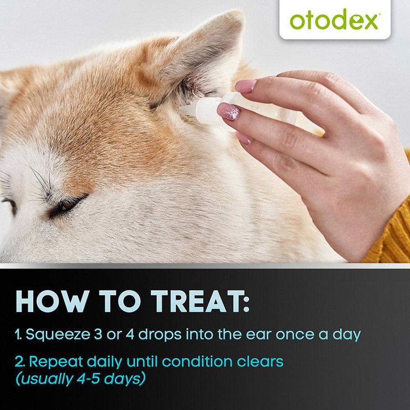 Application of Otodex Veterinary Ear Drops on dog's ear for fast relief of ear irritations and infections