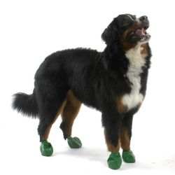 Pawz dog boots - Pawz