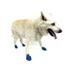 Pawz dog boots - Pawz