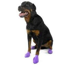 Pawz dog boots - Pawz