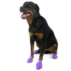 Pawz dog boots - Pawz