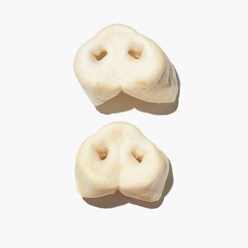 Pigs Snout Air Dried Dog Treat