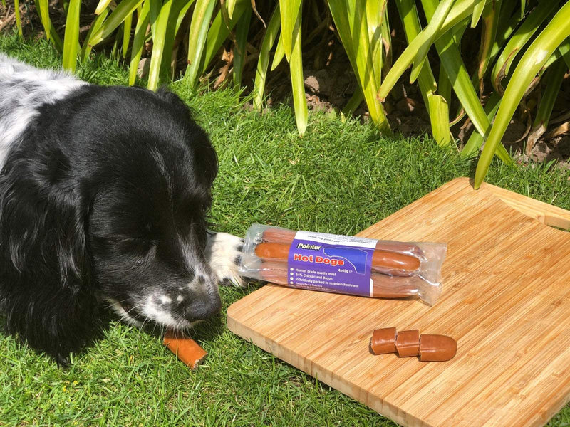 Dog enjoying Pointer Hot Dog Chews - 4 Pack, grain-free treats made with chicken and bacon, on a wooden board outdoors.