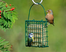 Suet To Go premium high energy suet cakes in green feeder attracting wild birds