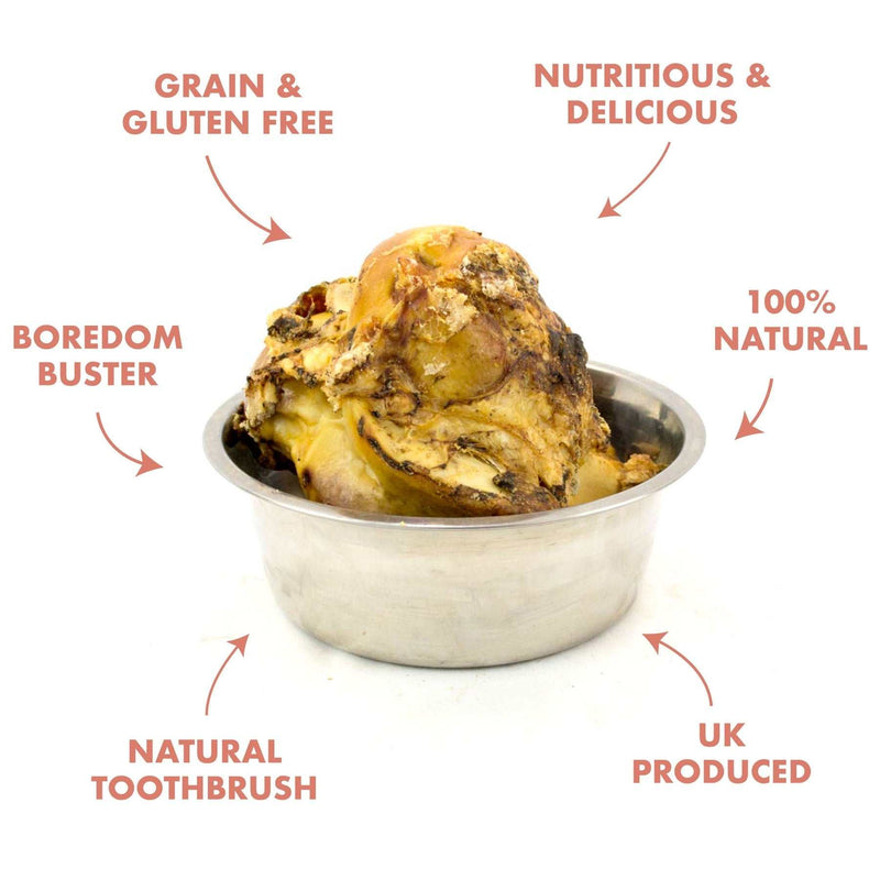 T Forrest Oven-Roasted Knuckle Bone natural grain-free dog chew promoting dental health in a stainless steel bowl