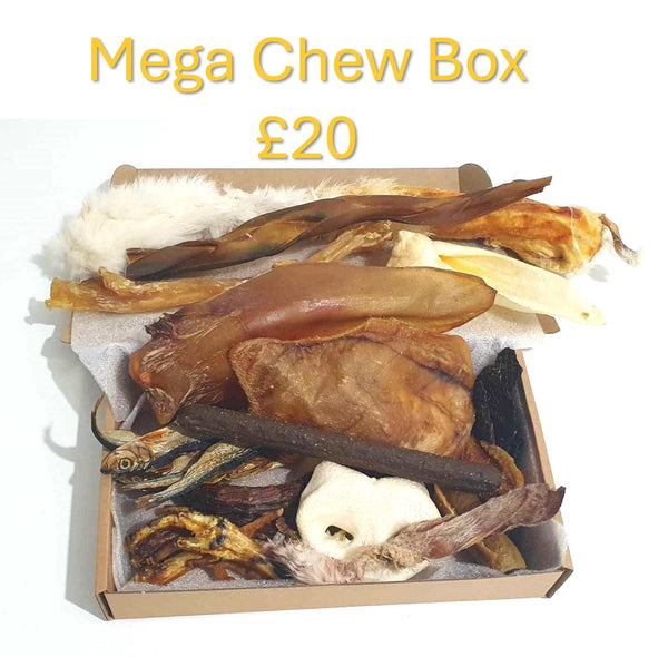 The Mega Chew Box - Kimi's Pet Emporium