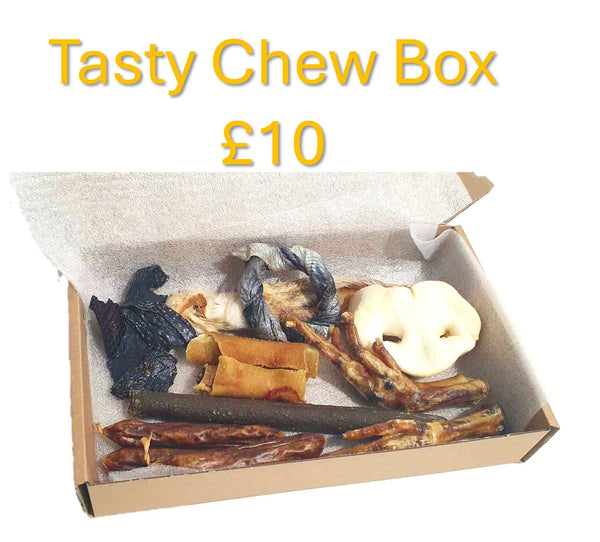 The Tasty Chew Box - Kimi's Pet Emporium