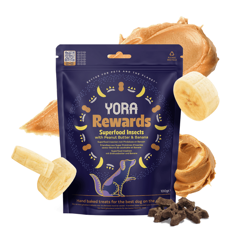 YORA Peanut Butter & Banana insect protein dog treats with soft-baked texture and superfood benefits
