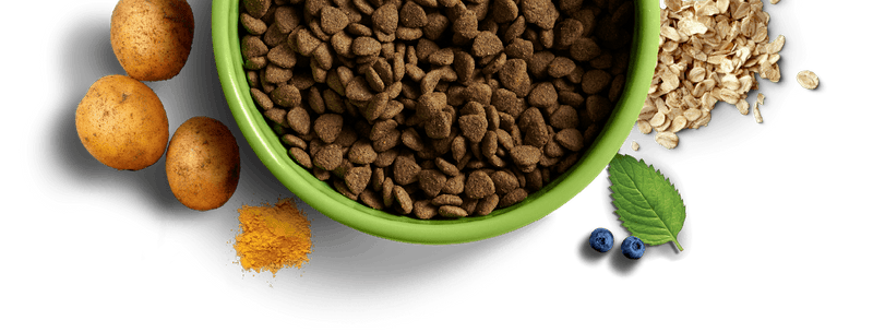 YORA Small Dog Food bowl with insect protein kibble and natural ingredients like potatoes, oats, turmeric, and blueberries