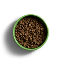 YORA Small Dog Food with sustainable insect protein in a green bowl for adult small breeds.