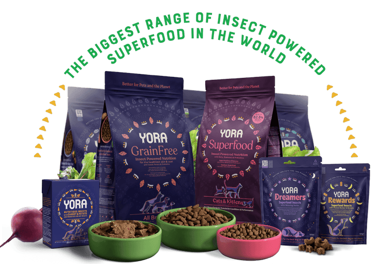 YORA Small Dog Food superfood insect nutrition with balanced, hypoallergenic ingredients for adult small breed dogs.